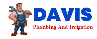 Trusted plumber in ROMULUS